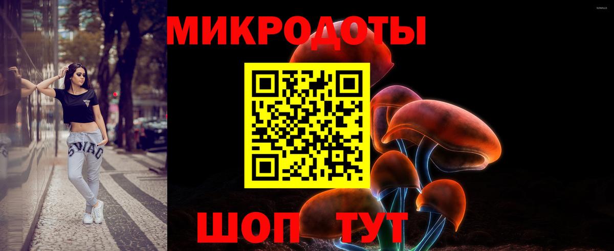 Псилоцибиновые грибы Psilocybe  Вход с VPN  Тейково 