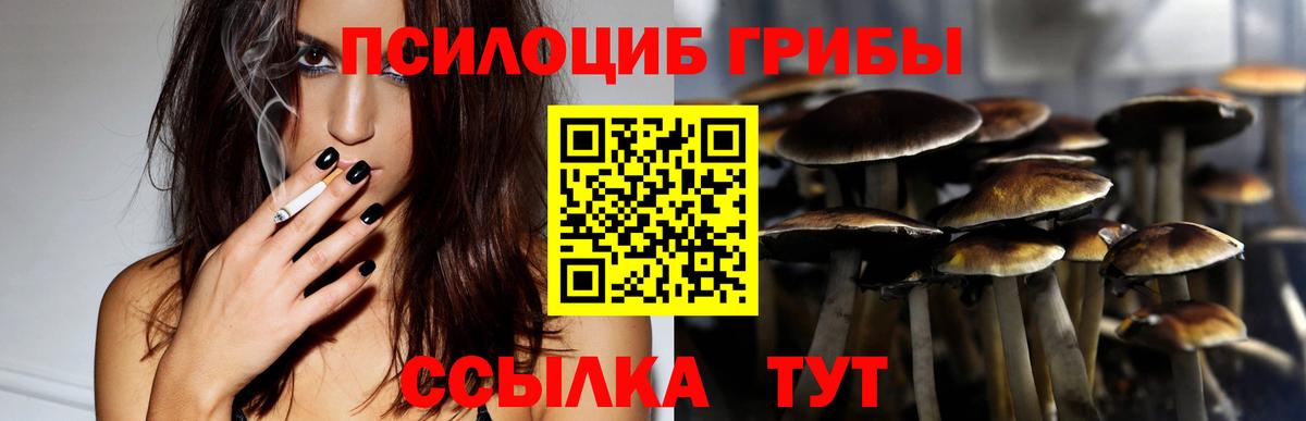 Псилоцибиновые грибы Psilocybine cubensis  Тейково 